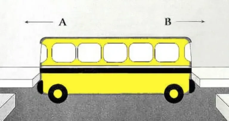vilken riktning kör bussen? Bara dom med hög intelligens klarar detta.